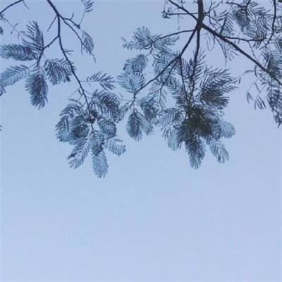 零界冒险手游